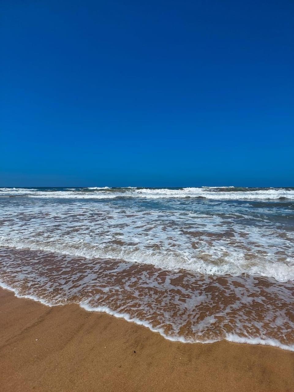 Bel Appartement De Plage - Rdc - Dahomey Beach Бузніка Екстер'єр фото